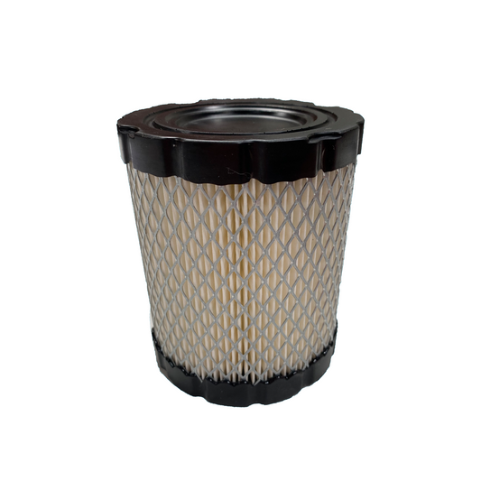 Briggs & Stratton Air Filter